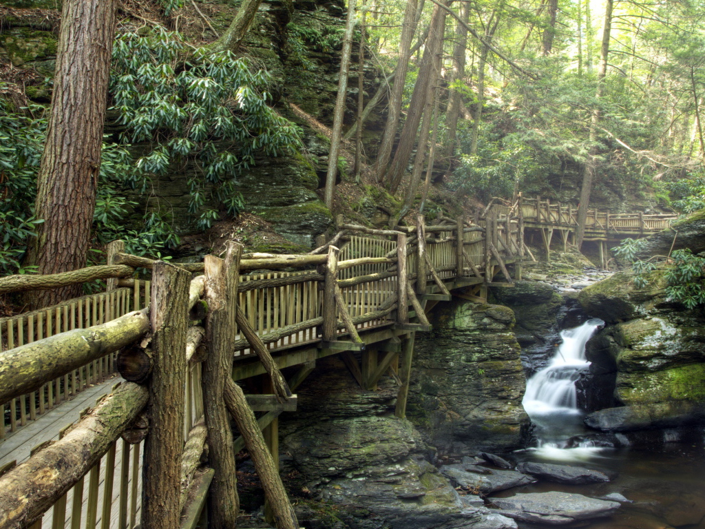 Деревянный мост