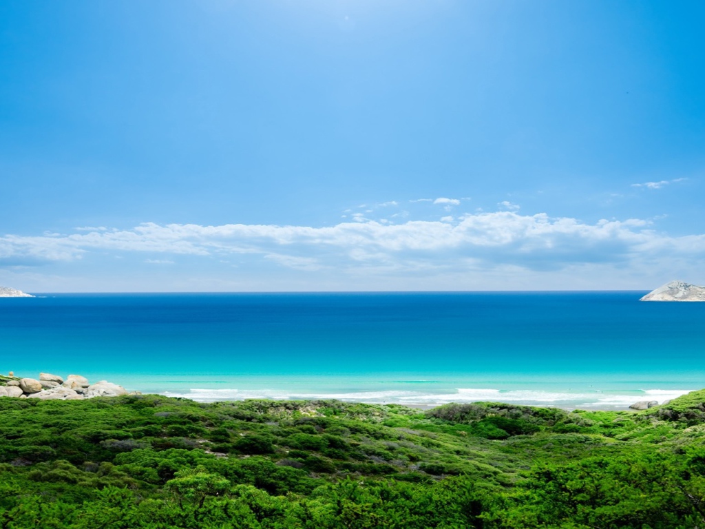 Зеленый берег и голубое море