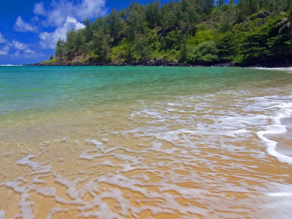 Волны прилива