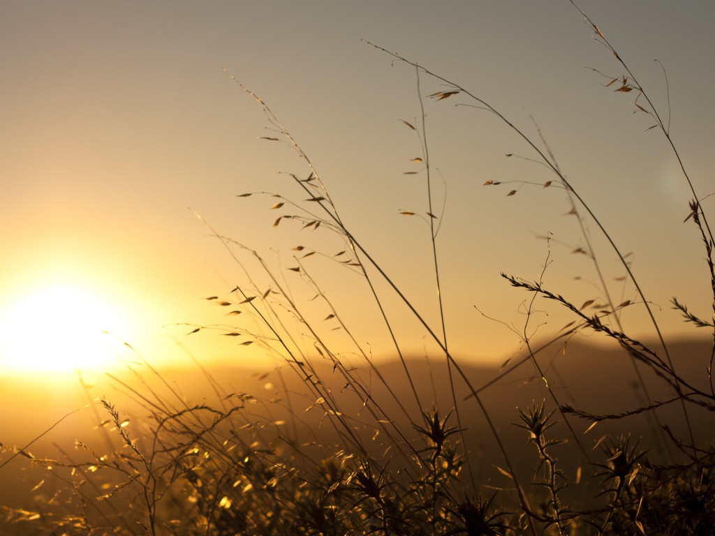 Восход весеннего солнца