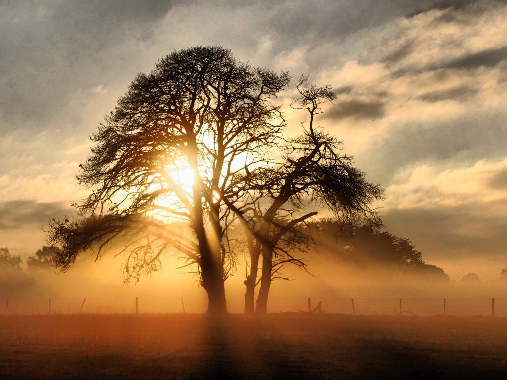 Закат на поле