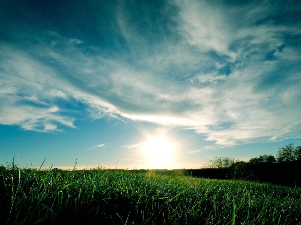 Закат над полем