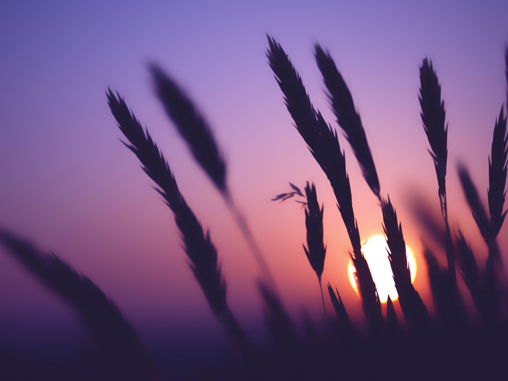 Время заката