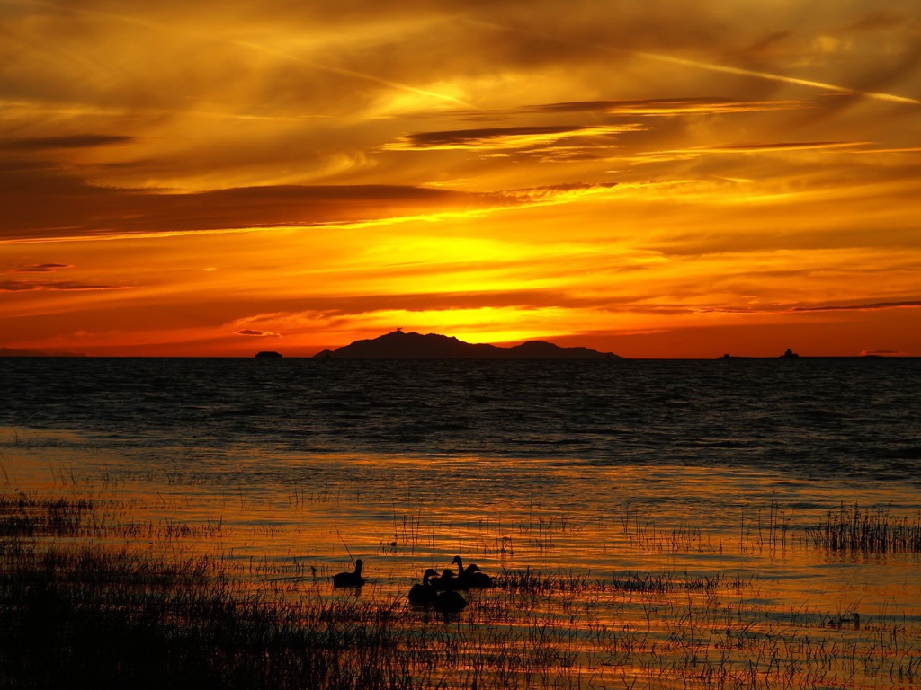 	   Golden sunset over the lake