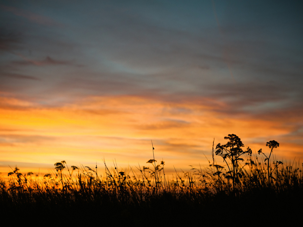 Летний закат