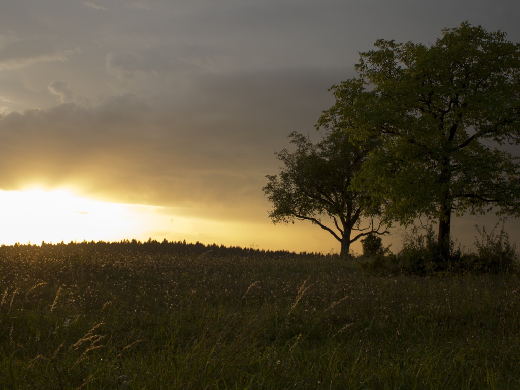 Солнце за черной тучей