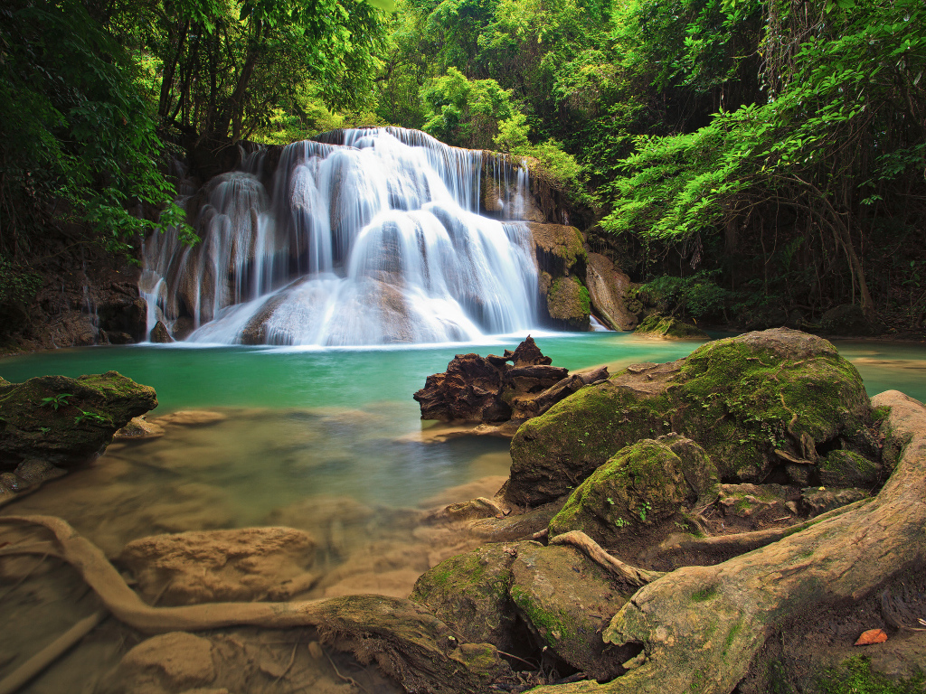 Водопад в густом лесу