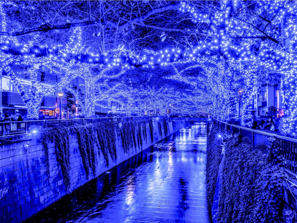 Новогодняя иллюминация в Токио