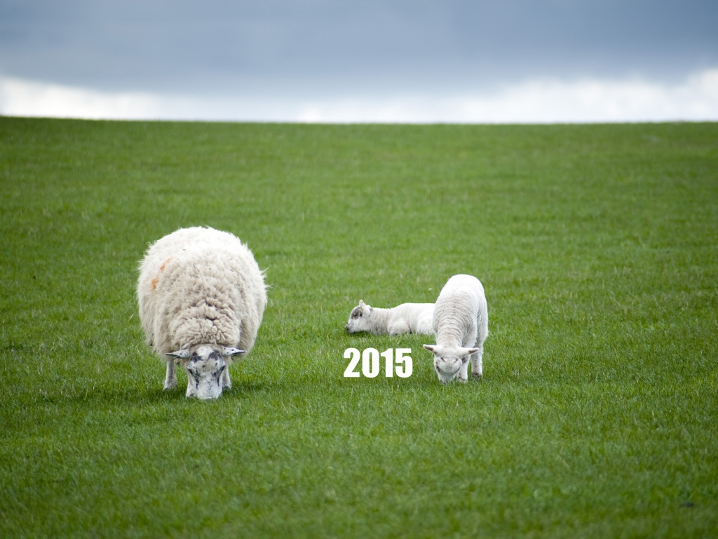 Новый Год овечки 2015