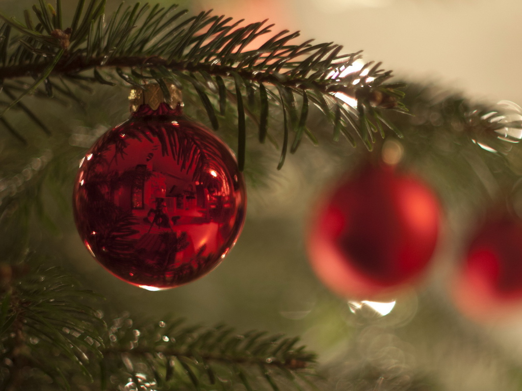 Красный шар на ветке