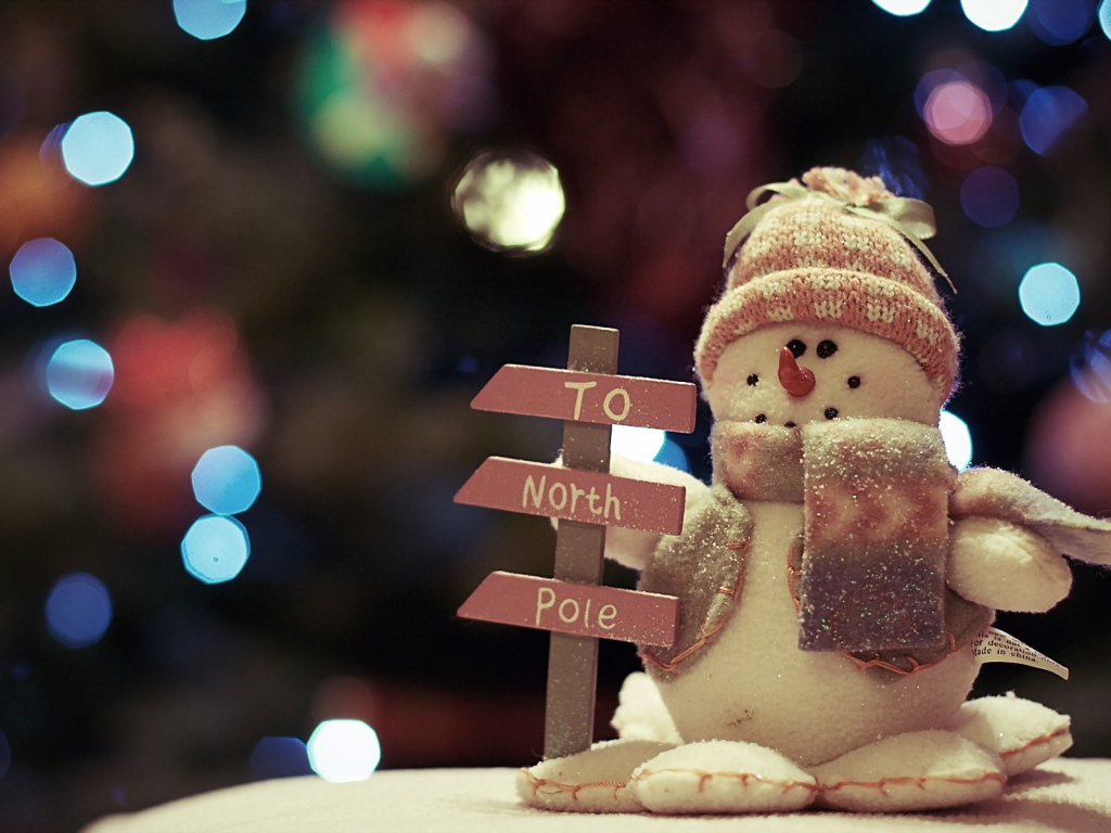 Указатель на Северный полюс