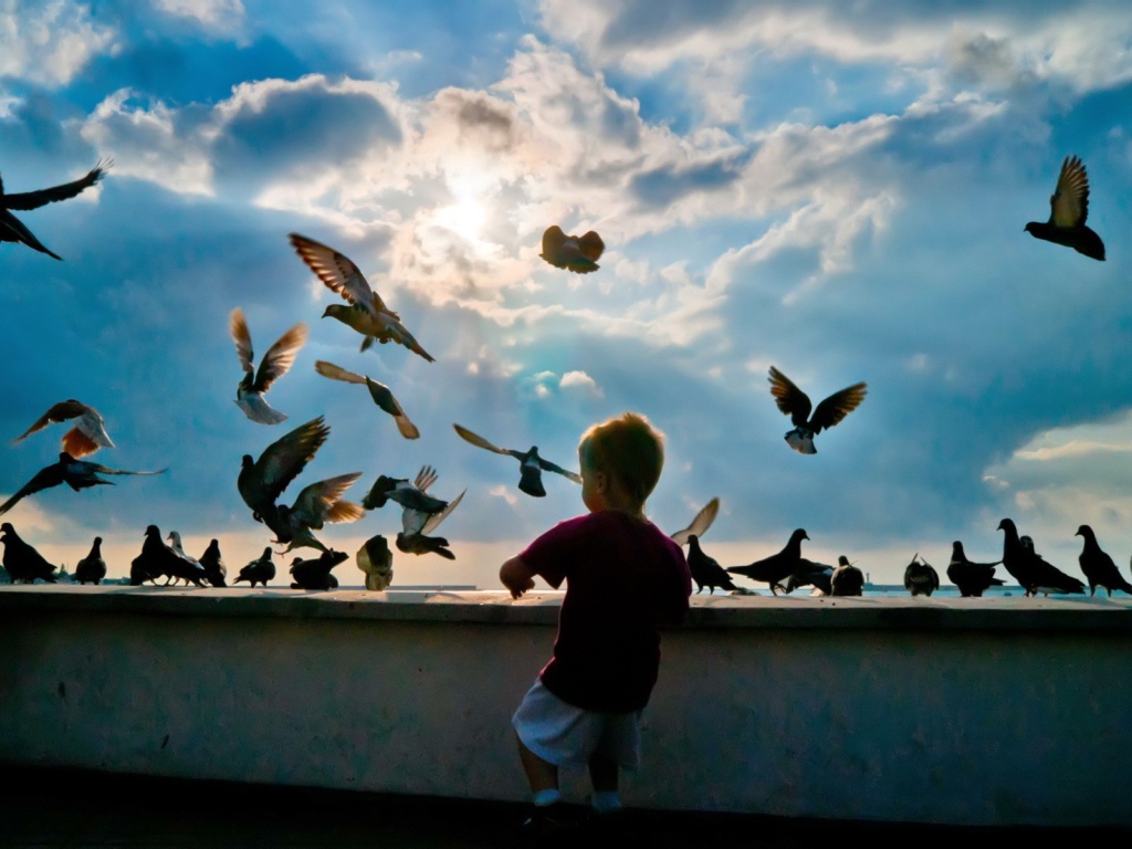 Ребенок и голуби 