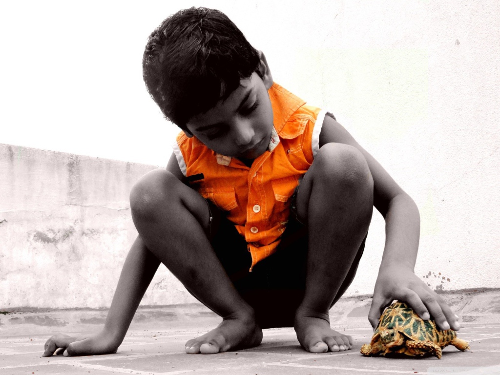 Ребенок с черепахой