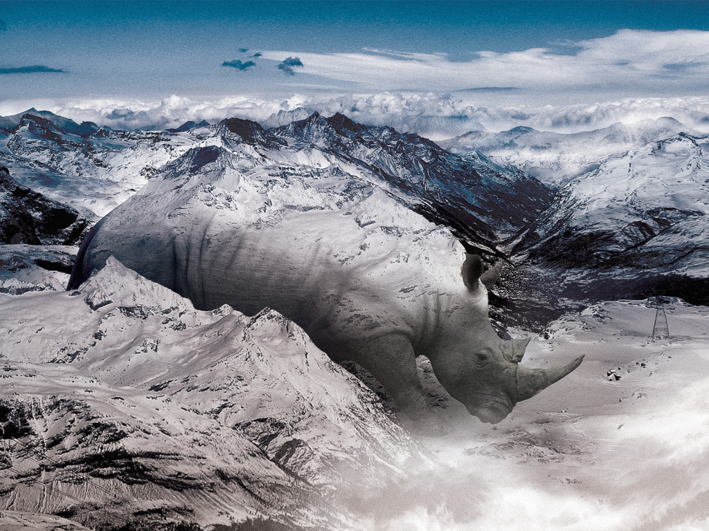 Носорог в горах