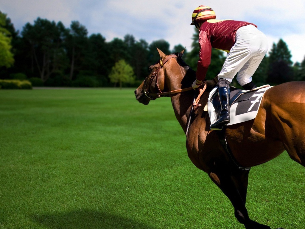 Конный спорт