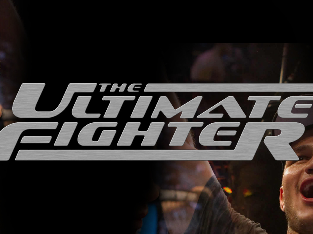 Известный боец Джуниор Дос Сантос