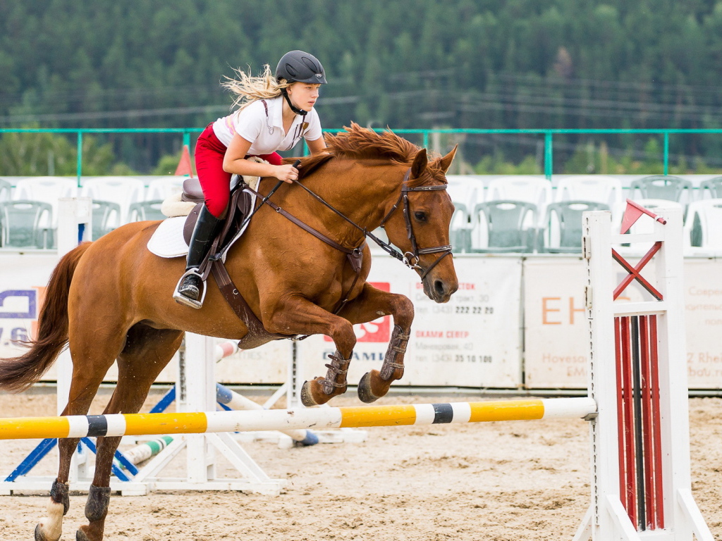Прыжок в конном спорте