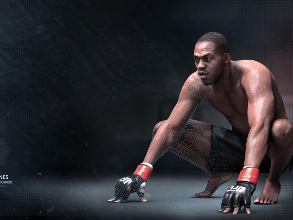 УФЦ  Боец Джон Джонс