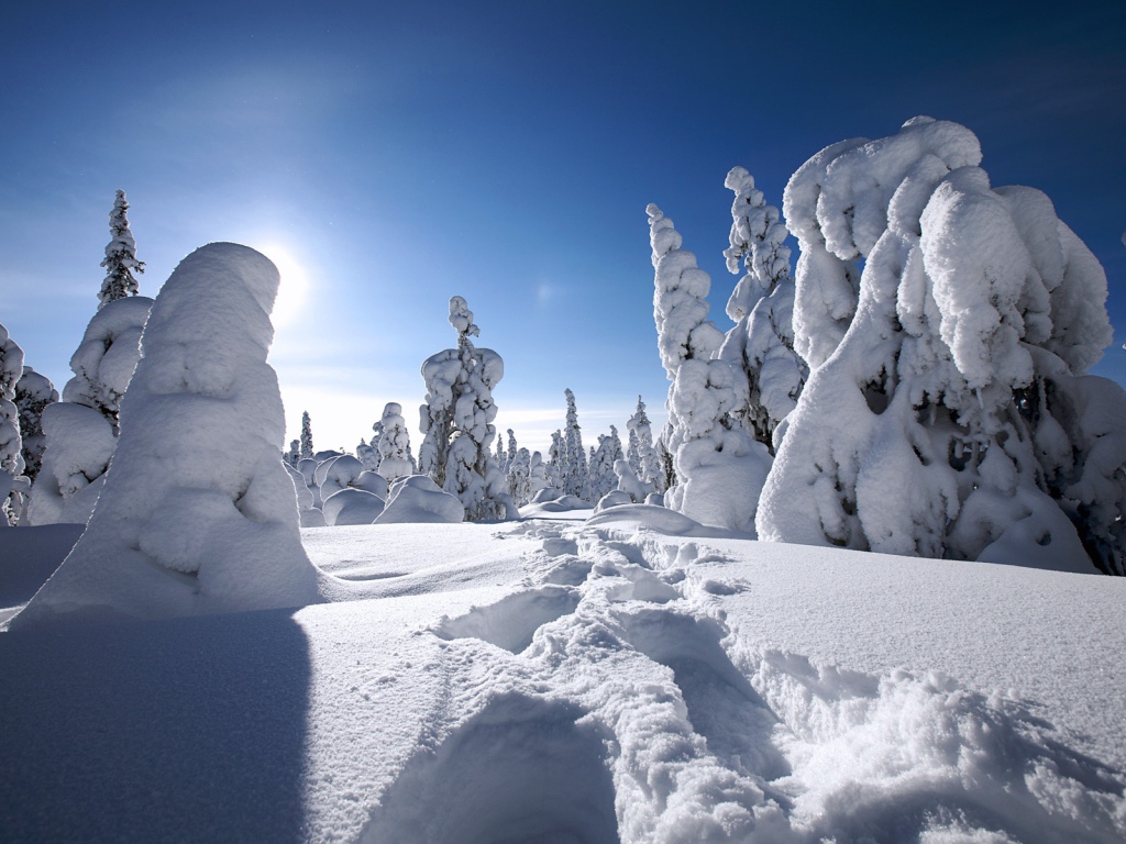 Winter in finland