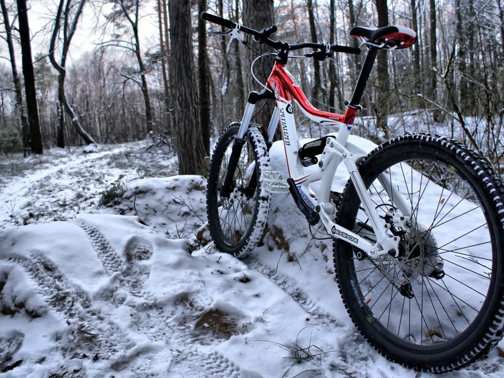 	  Bike in the snow