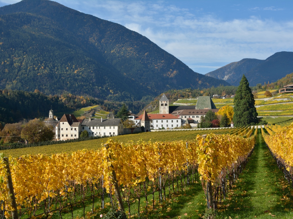 Поля в окрестностях города Нойштифт, Австрия