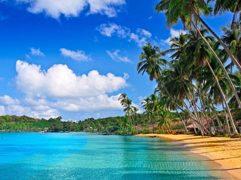 Удивительная картина Барбадоса пляжа