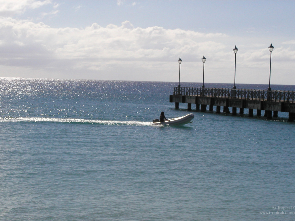 Удивительное место в Барбадос