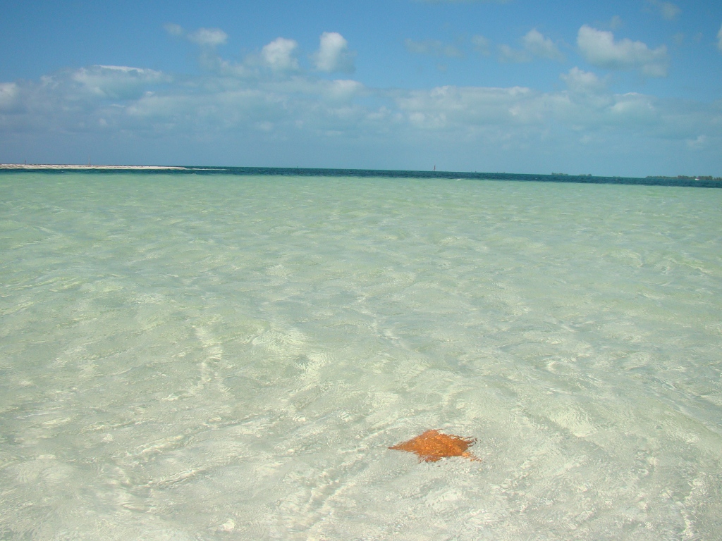 Мелководье на курорте Кайо Ларго, Куба
