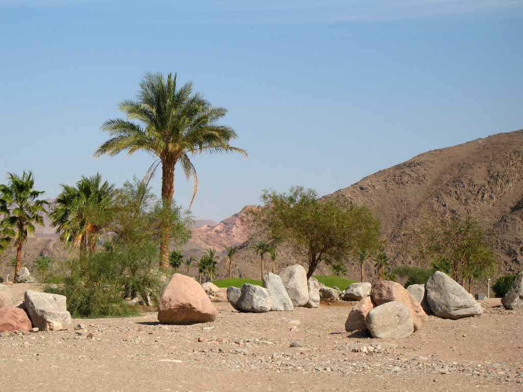 Palm trees on a background of mountains in the resort of Taba, Egypt