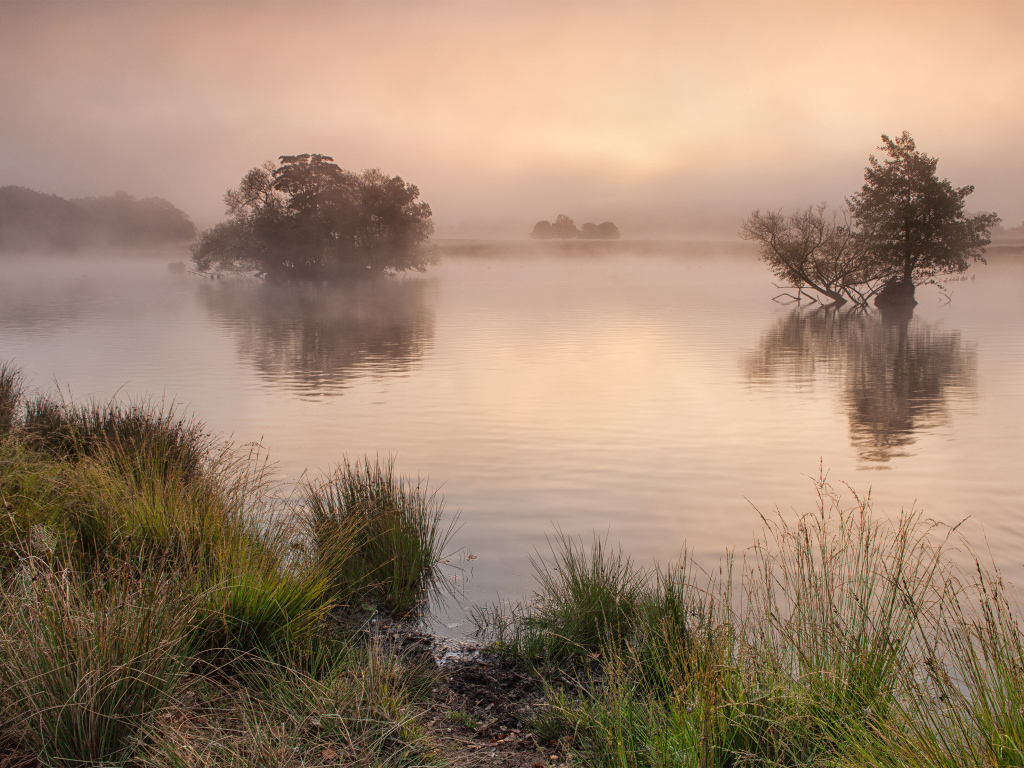 Ричмонд-парк, Суррей, Великобритания