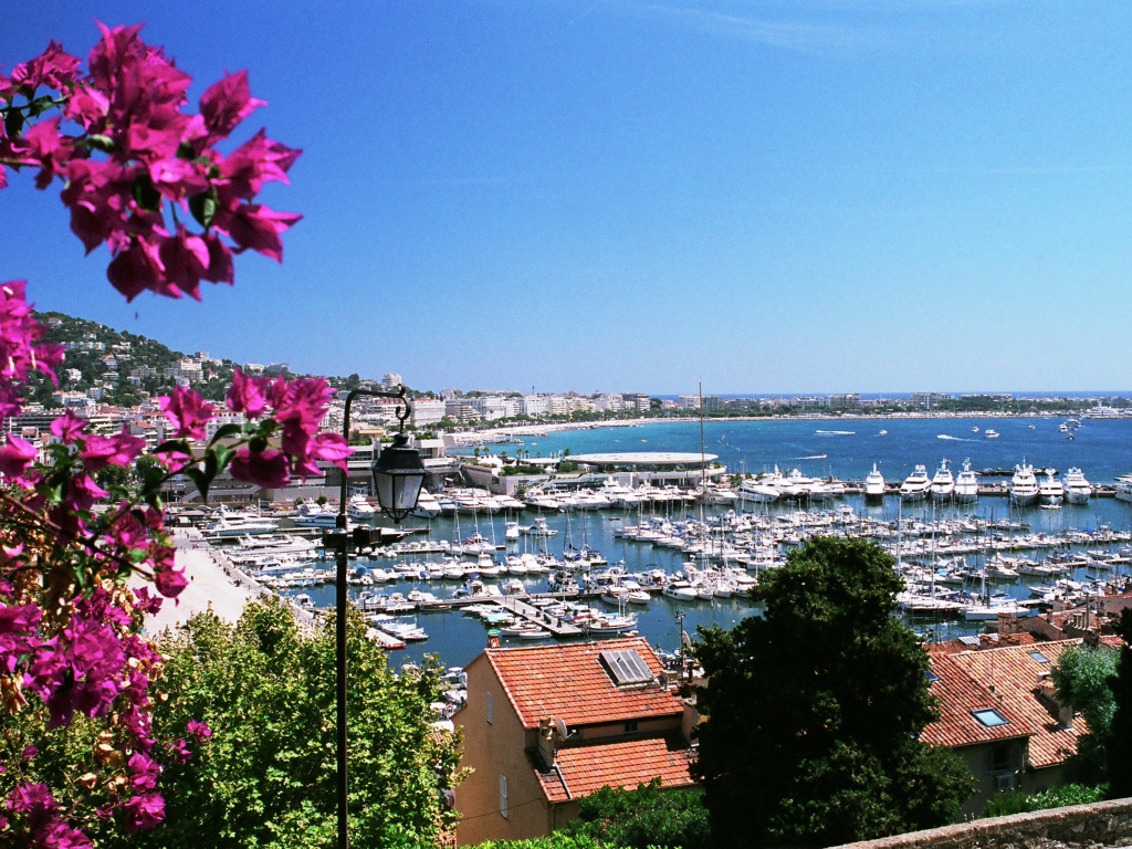 Цветы на фоне порта в Каннах, Франция