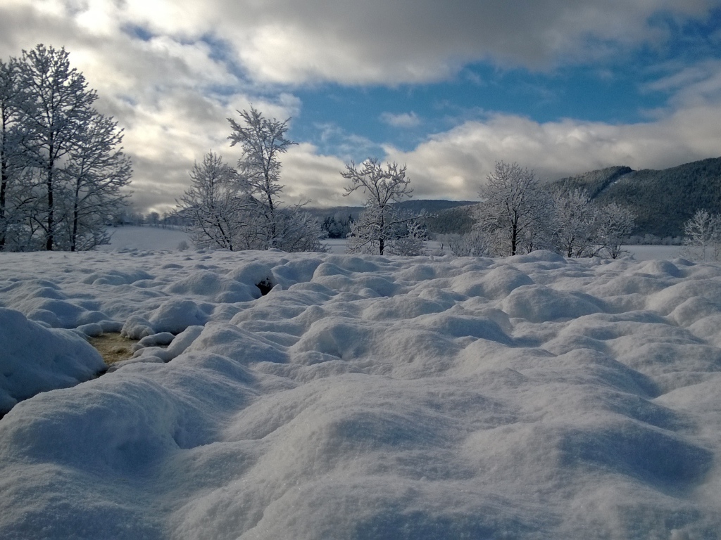 Горный ручей на курорте Виллар-де-Ланс, Франция