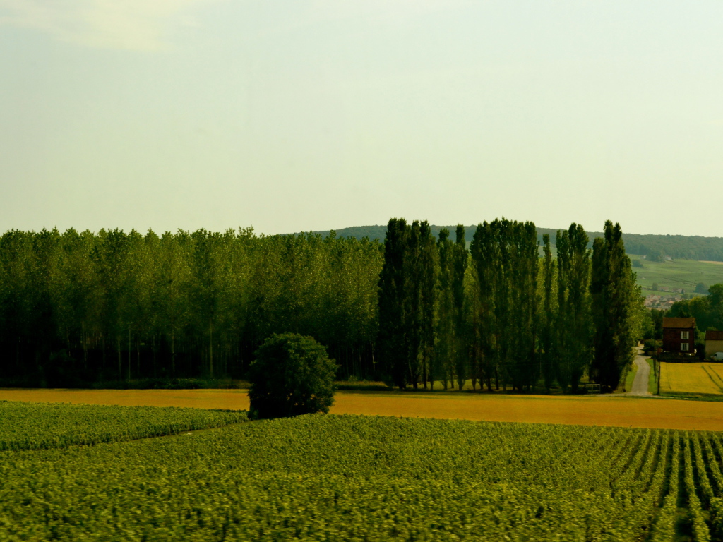 Сельский пейзаж в провинции Шампань, Франция