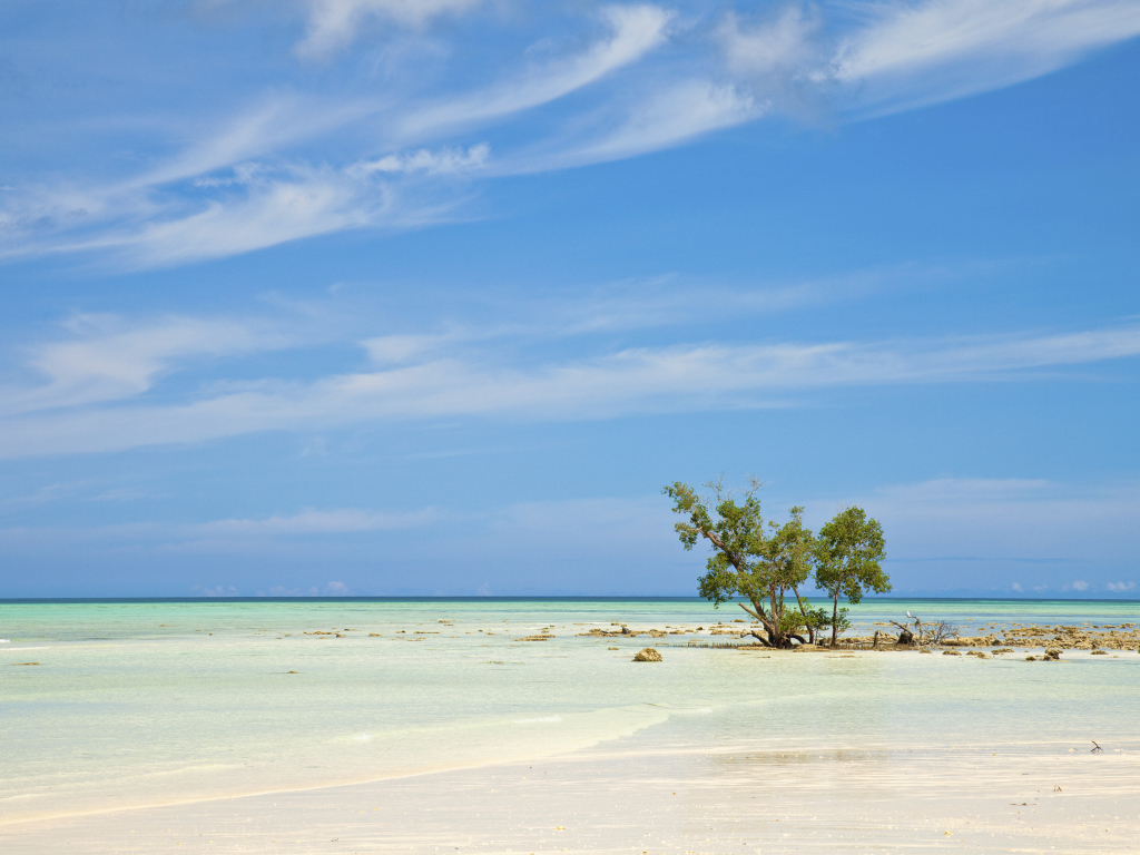 Отпуск на пляжах на Андаманских островах