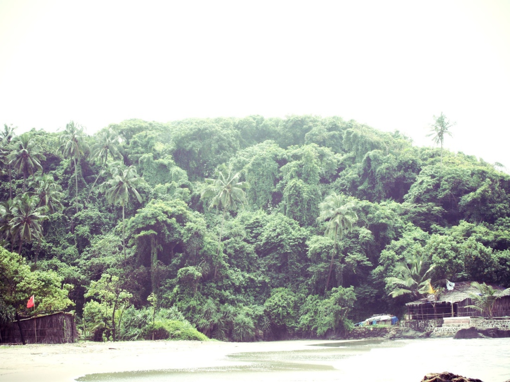 Природа в Вагаторе