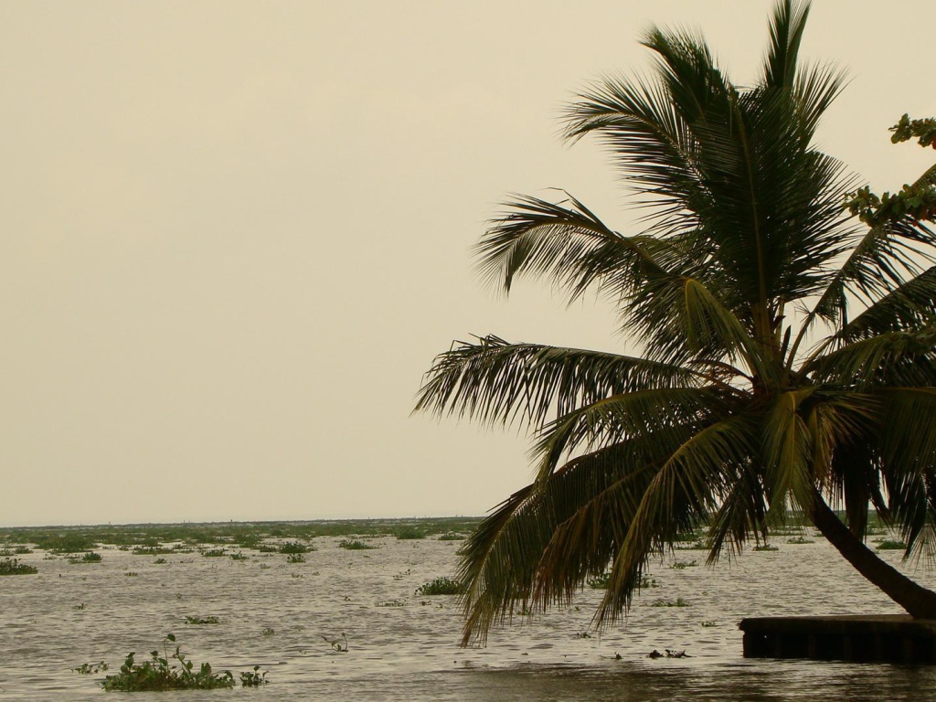 Весенний отпуск в Алапуже