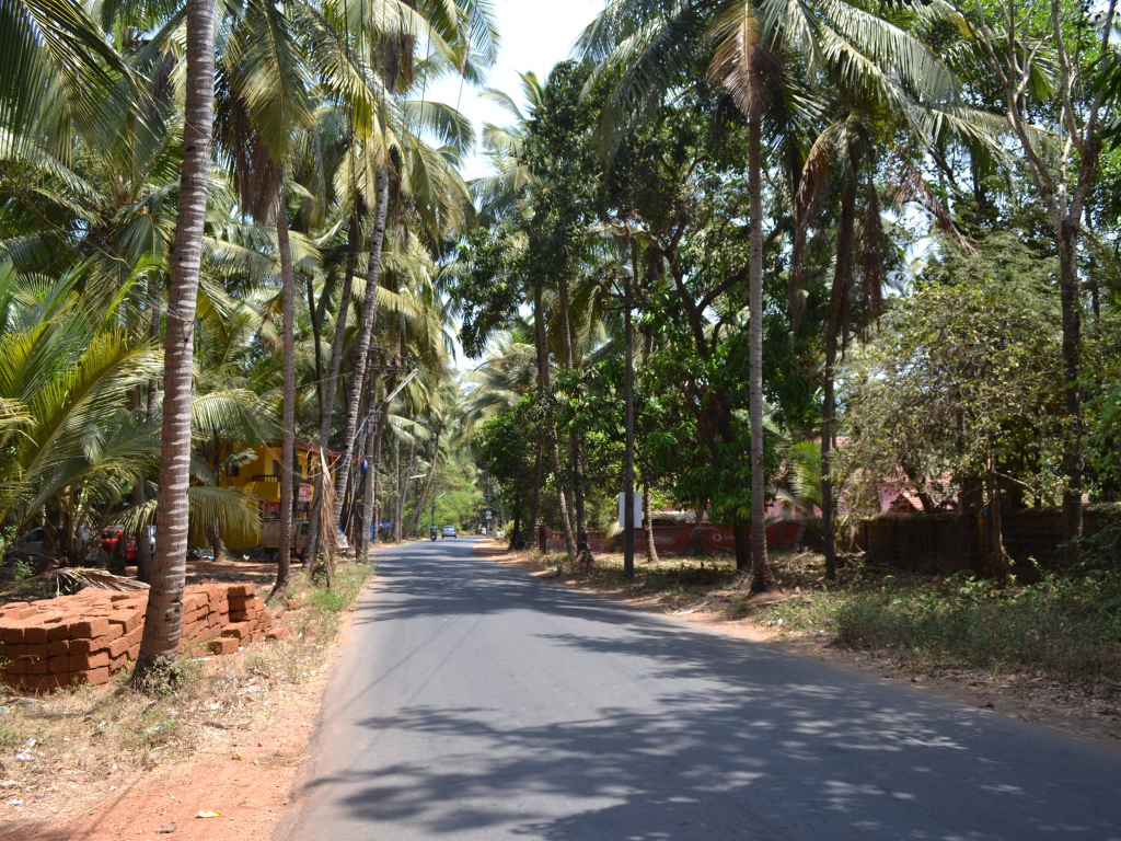 Прогулка по улицам Бенаулима