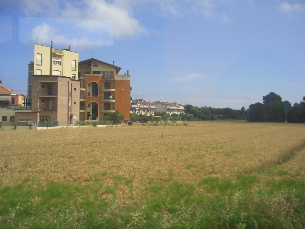 Пшеничное поле в Сан Марино, Италия