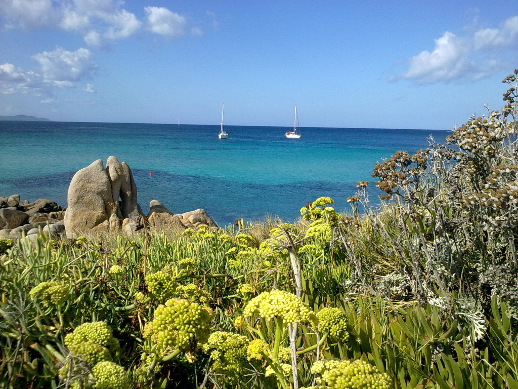 Яхты в заливе на курорте в Пьетра Лигуре, Италия