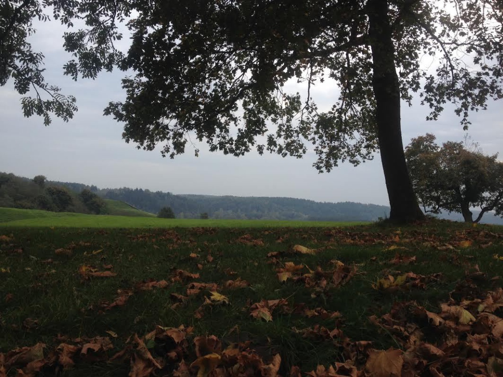 Осень в Кернаве, Литва