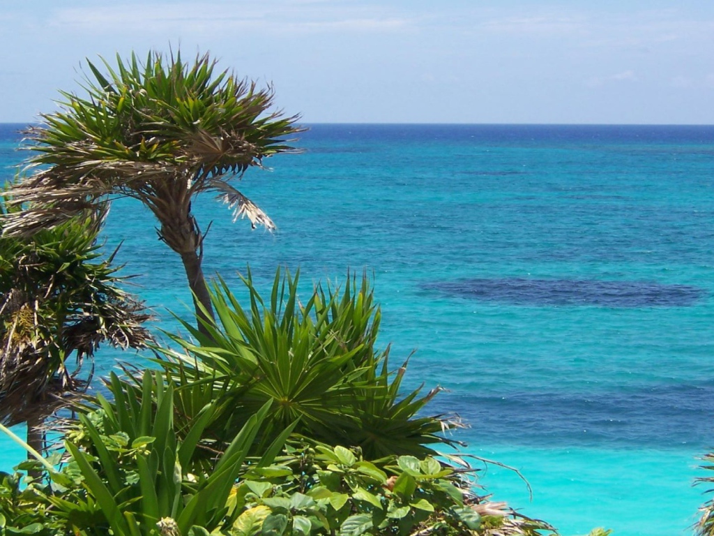 Солнечное Мексика