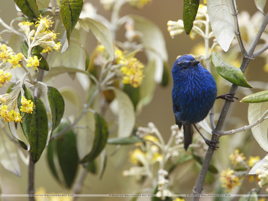 Захватывающие дух Перу