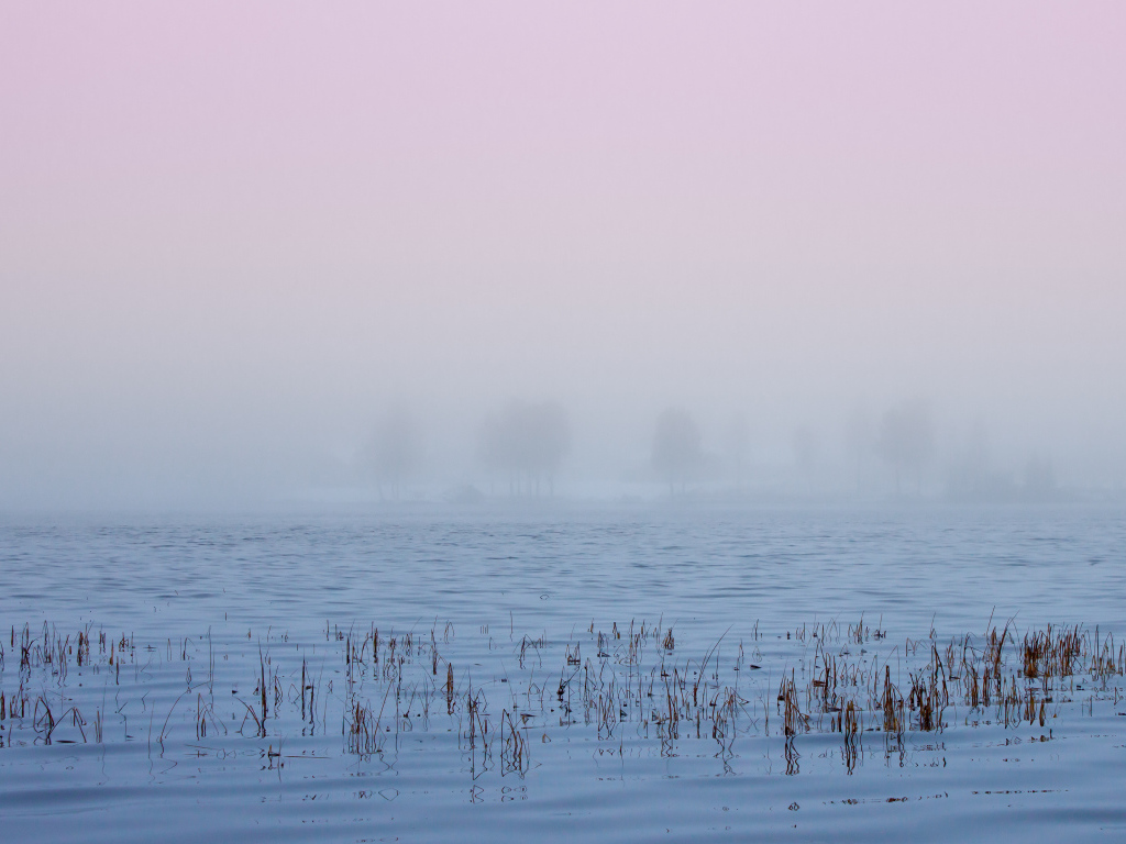 Туман в Швеции