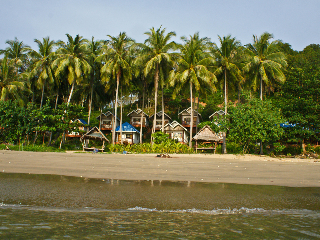 Дома среди пальм на острове Тао, Таиланд