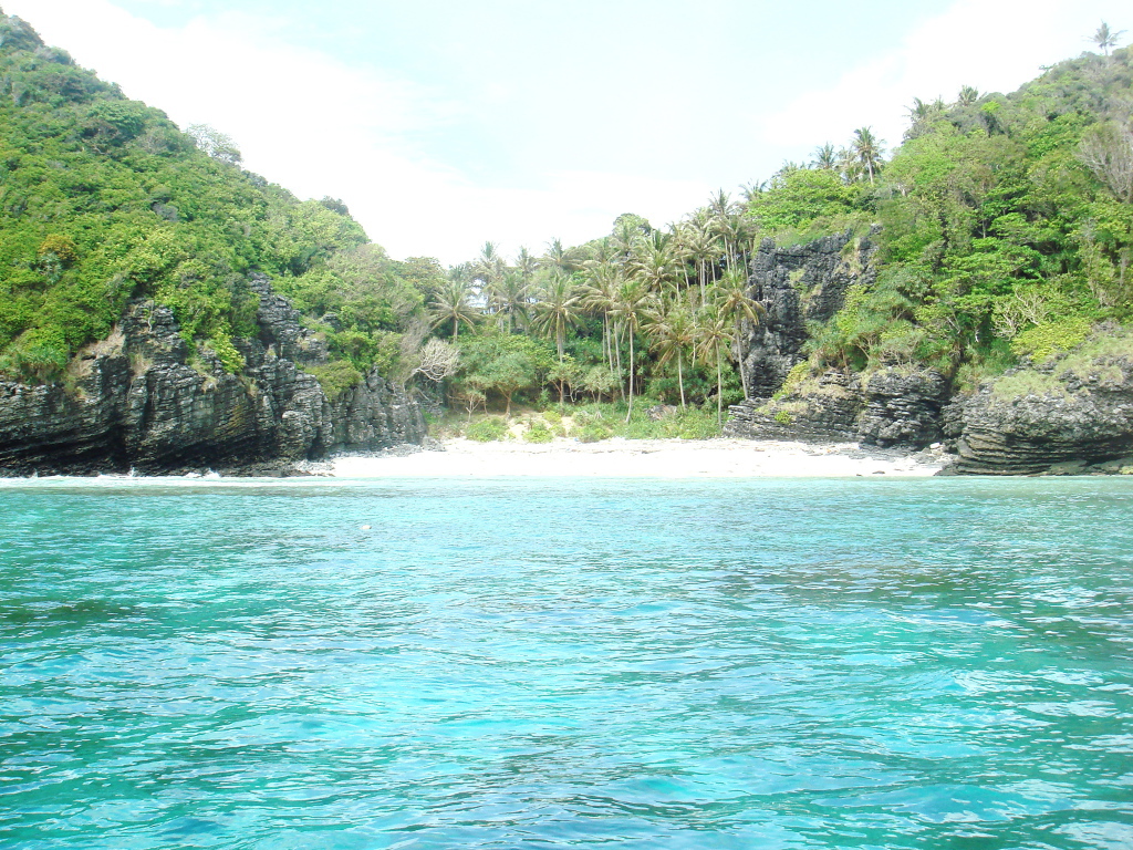 Пальмы на берегу в Пхукете, Таиланд