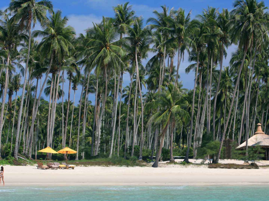 Пальмы на пляже на острове Ко Куд, Таиланд