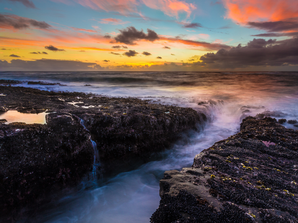 Парк штата Кейп Араго, США