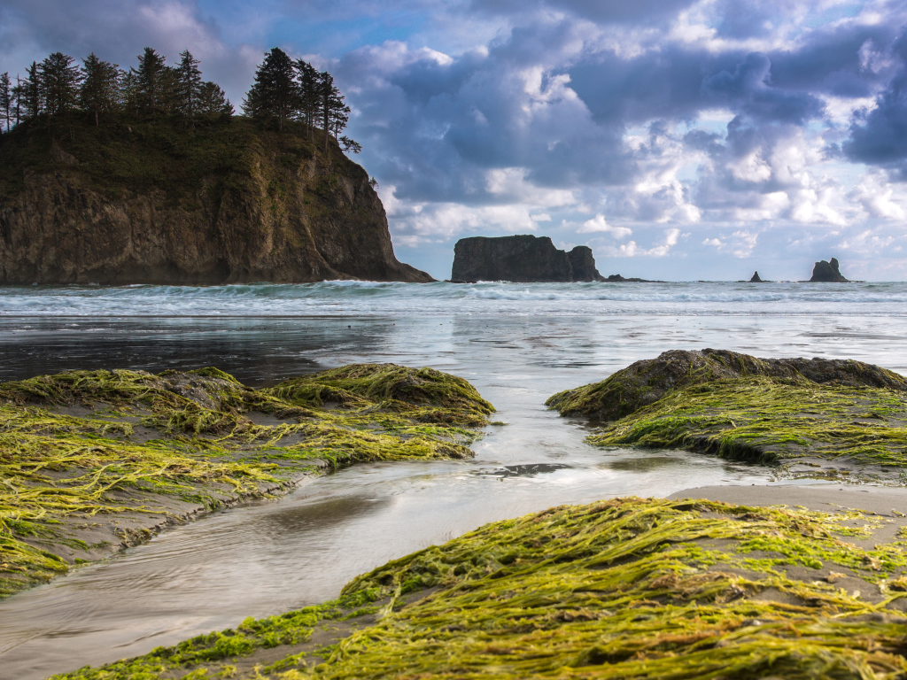 Олимпийский полуостров, Национальный олимпийский парк, Вашингтон, США