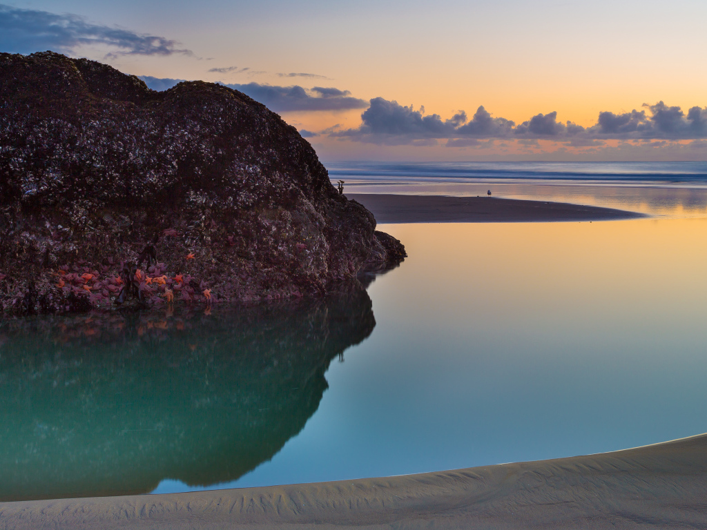 Камни на пляже Бэндон, США