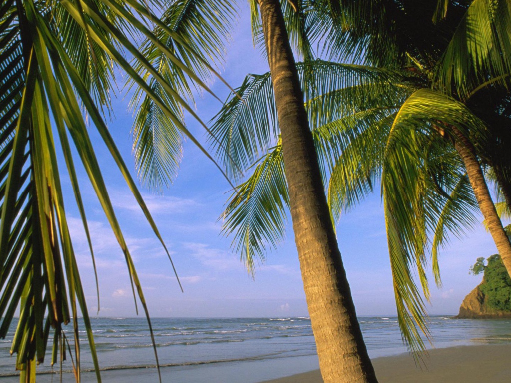 Потрясающая Погода Коста-Рика